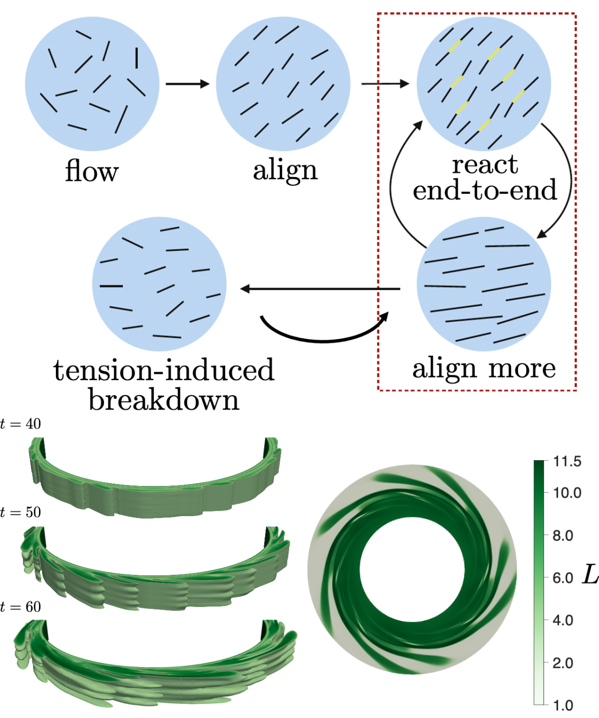 Research – Complex Flows and Fluids Research Group – UW–Madison